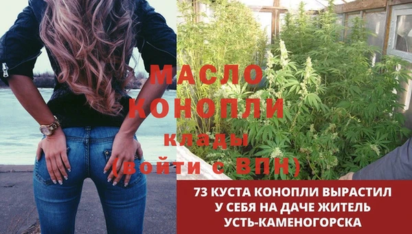 тгк Алзамай