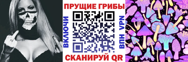 цены   MEGA tor  Галлюциногенные грибы GOLDEN TEACHER  Выкса 