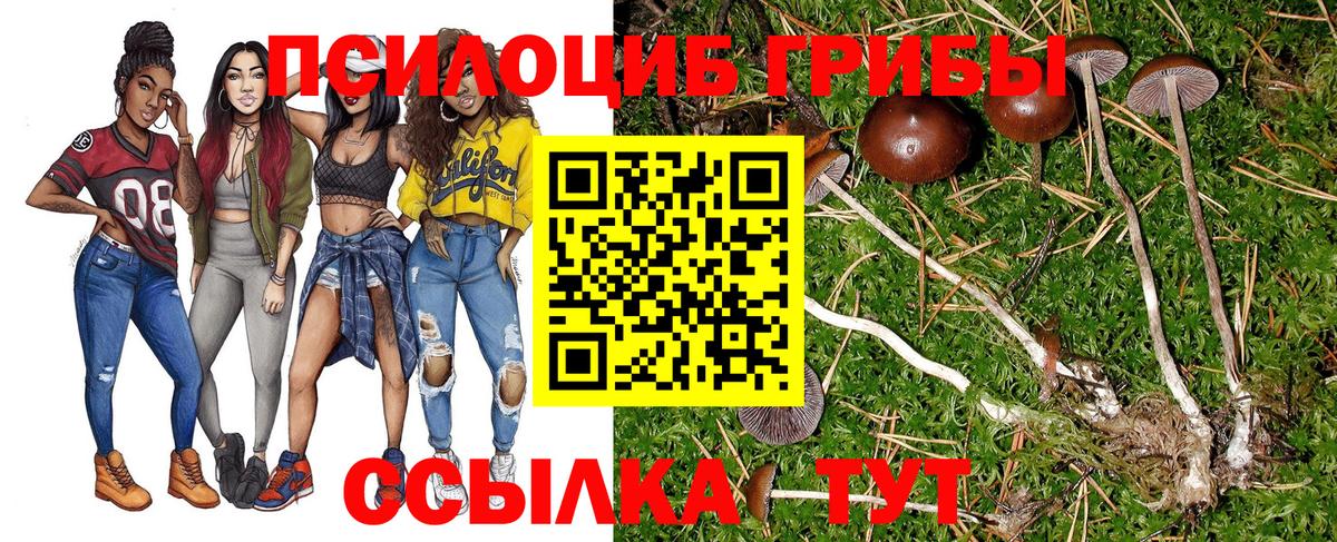Псилоцибиновые грибы Cubensis Выкса