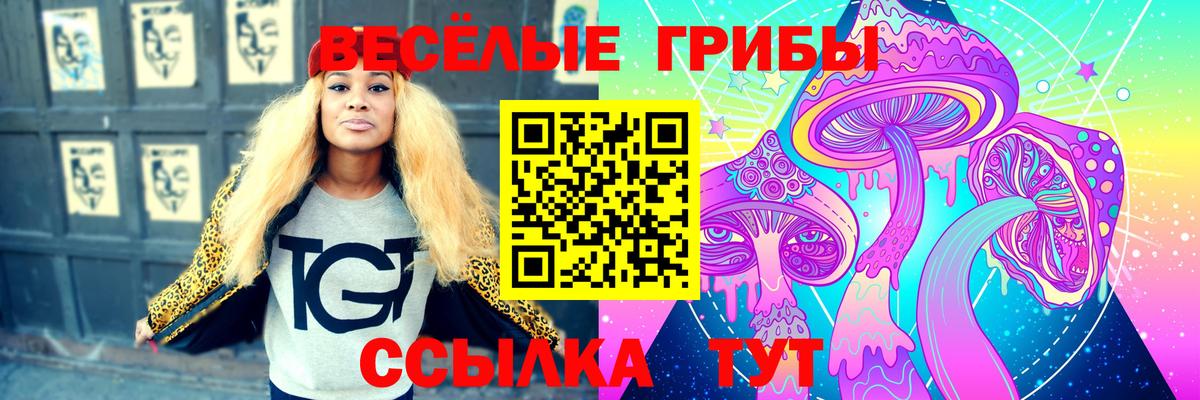 даркнет сайт  Псилоцибиновые грибы ЛСД  Выкса  Вход с VPN  Галлюциногенные грибы Magic Shrooms 