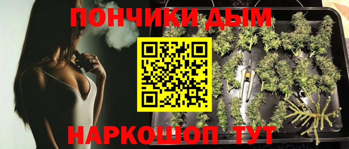 Бошки Шишки планчик  Вход с VPN  Шишки марихуана сатива  Выкса  Каннабис сатива 